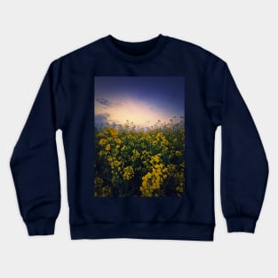 rapeseed in sunset light Crewneck Sweatshirt